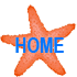 Home Page Button
